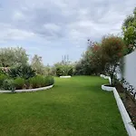 Olive Grove * Megali Ammos (Skiathos)