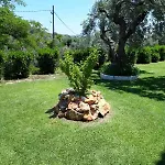 Olive Grove Apartment