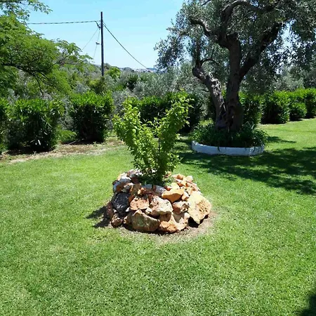Olive Grove Apartment
