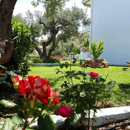 Apartment Olive Grove *