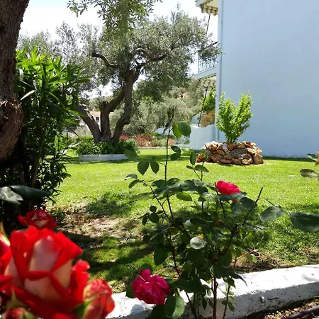 Apartment Olive Grove