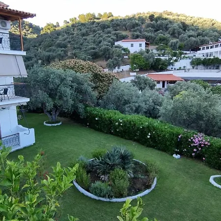 Olive Grove * Megáli Ámosz